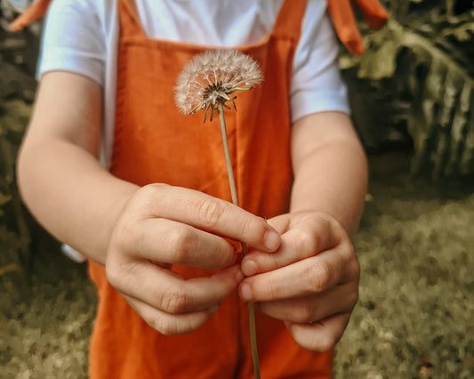 Child holding a dandelion seed head outdoors