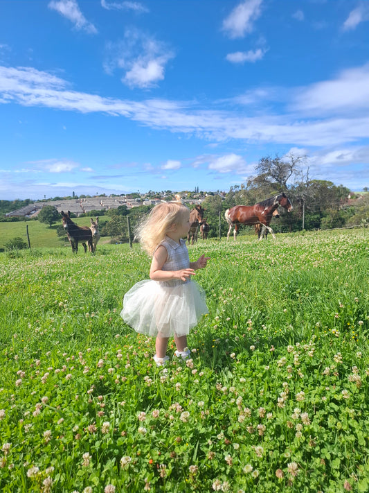 Cowgirl Charm Tutu Dress