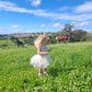 Cowgirl Charm Tutu Dress