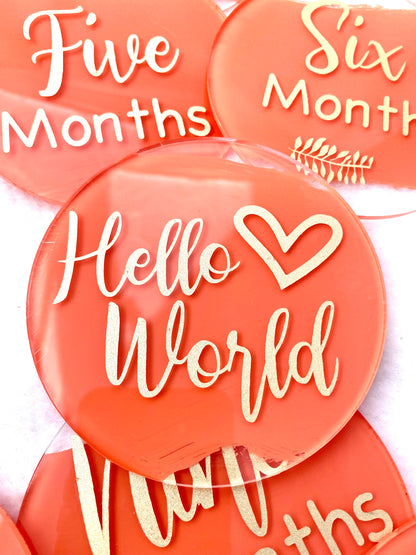 Baby milestone discs