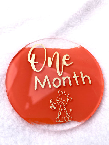 Baby milestone discs